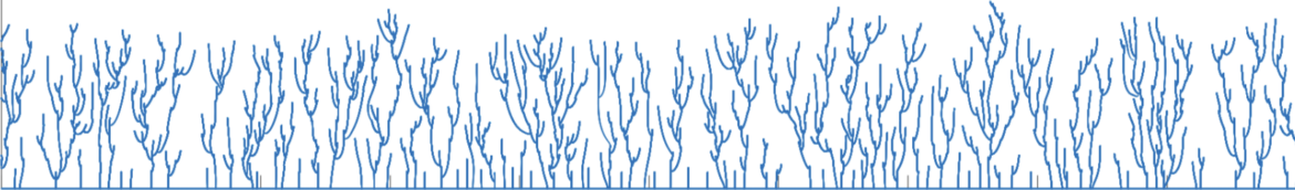 Technion Probability Group