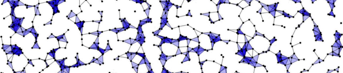 Technion Probability Group